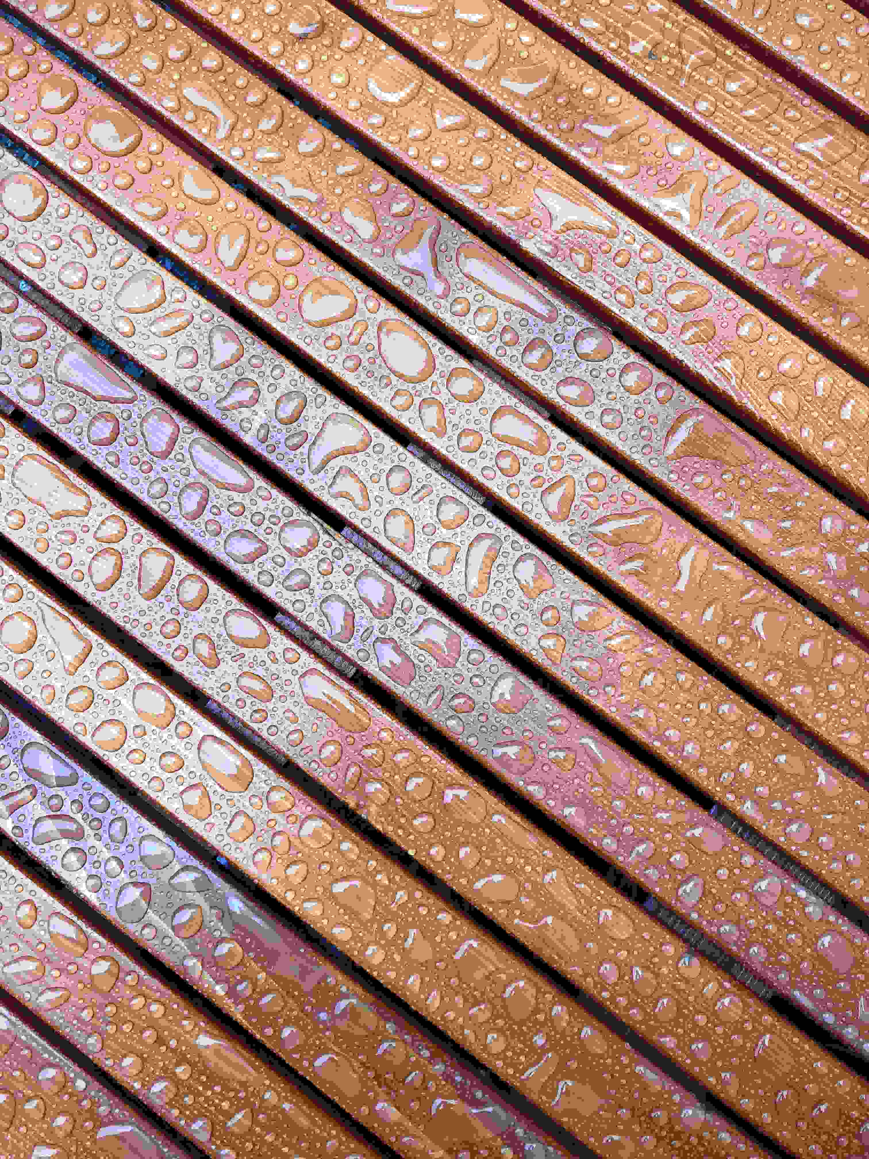 Everything You Should Know About Waterproof WPC Boards: Features, Uses & Dealer Insights